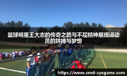 爱游戏官网